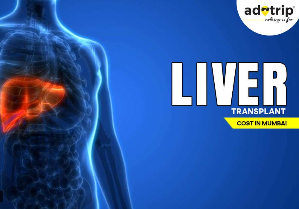 Liver Transplant Cost in Mumbai